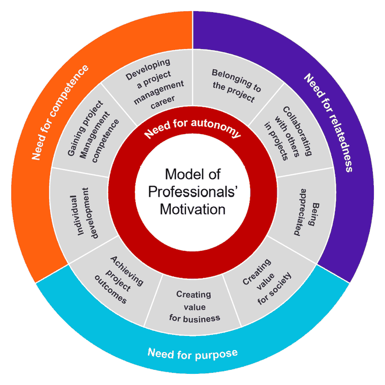 Model of Professionals&rsquo; Motivation: vier Bed&uuml;rfnisse &ndash; Autonomie, Kompetenz, Verbundenheit und Sinn &ndash; mit den zugeh&ouml;rigen Aspekten